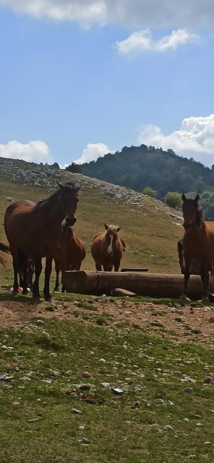 Na Krovu Svijeta Gornji Lukomir Dış mekan fotoğraf